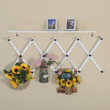 Expandable wall mounted online coat rack